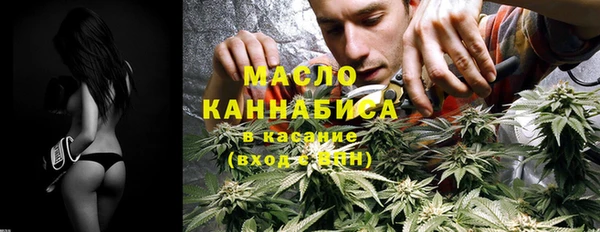 шишки Саяногорск