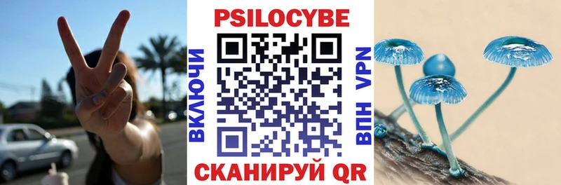 Псилоцибиновые грибы Psilocybine cubensis  Купить закладки  Краснослободск 